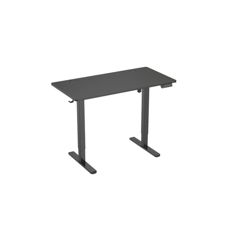 Advanced Ergonomic Electric Lifting Table with Memory Positioning – 120x60cm